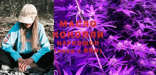 гашик Майский