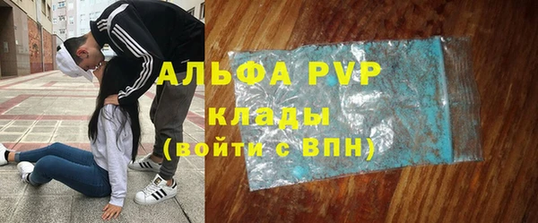 гашик Майский