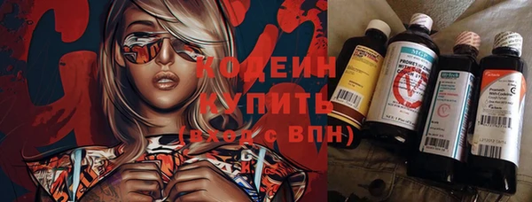 гашик Майский